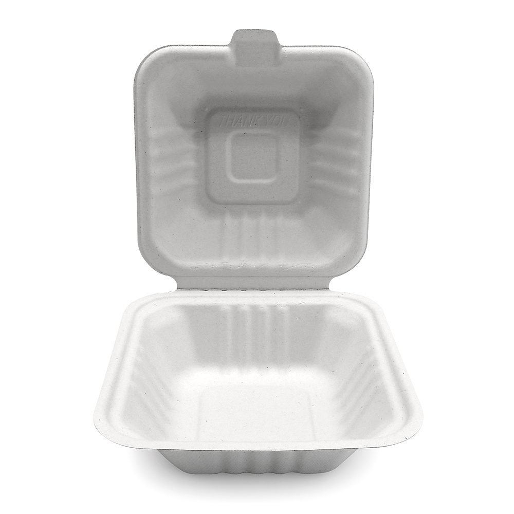 6×6 Bagasse Hinged Lid Container